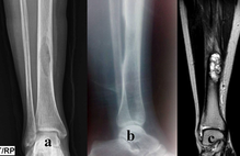 Article_box_298f2e60323e11e7b7518b70867c3152-figure-1