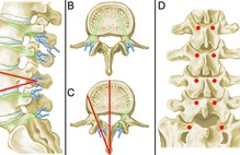 Article_box_b437bbb04b1411e7a7f3192027680eaf-figure-1
