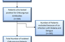 Article_box_db3ba5b0511211e79d831353a37e3448-flowchart-depicting-patient-selection