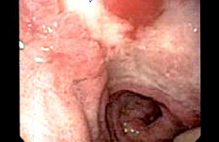 Article_box_3cd91340558511e7ad2b25553914a234-figure1