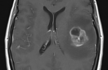 Article_box_a8ae9a90641711e7a350ef8477da5151-final-figure-2