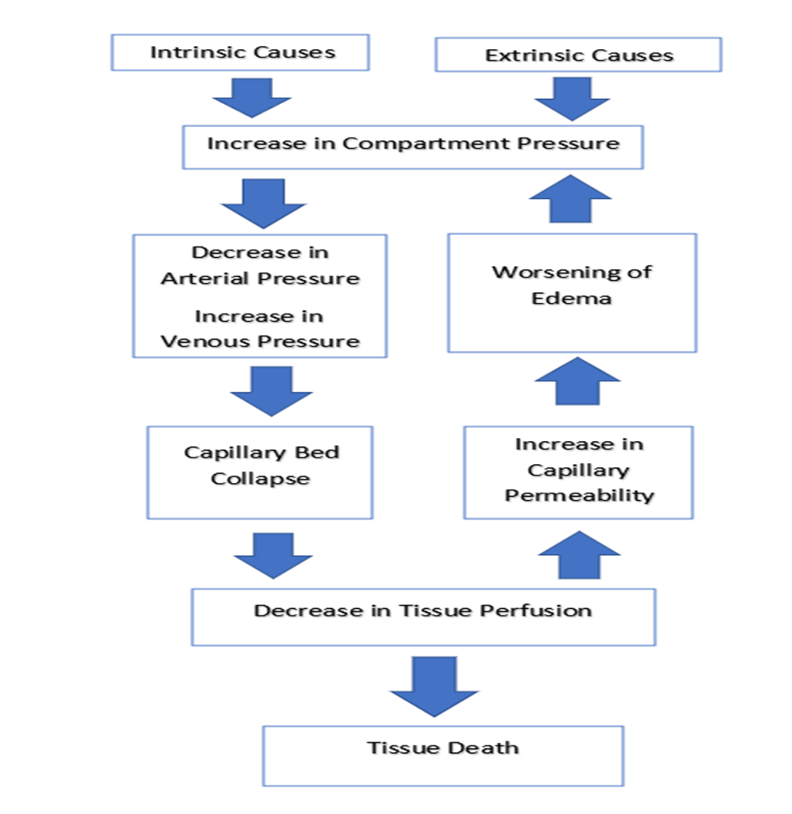 An Unusual Case Of Compartment Syndrome Of The Upper Extremity Caused