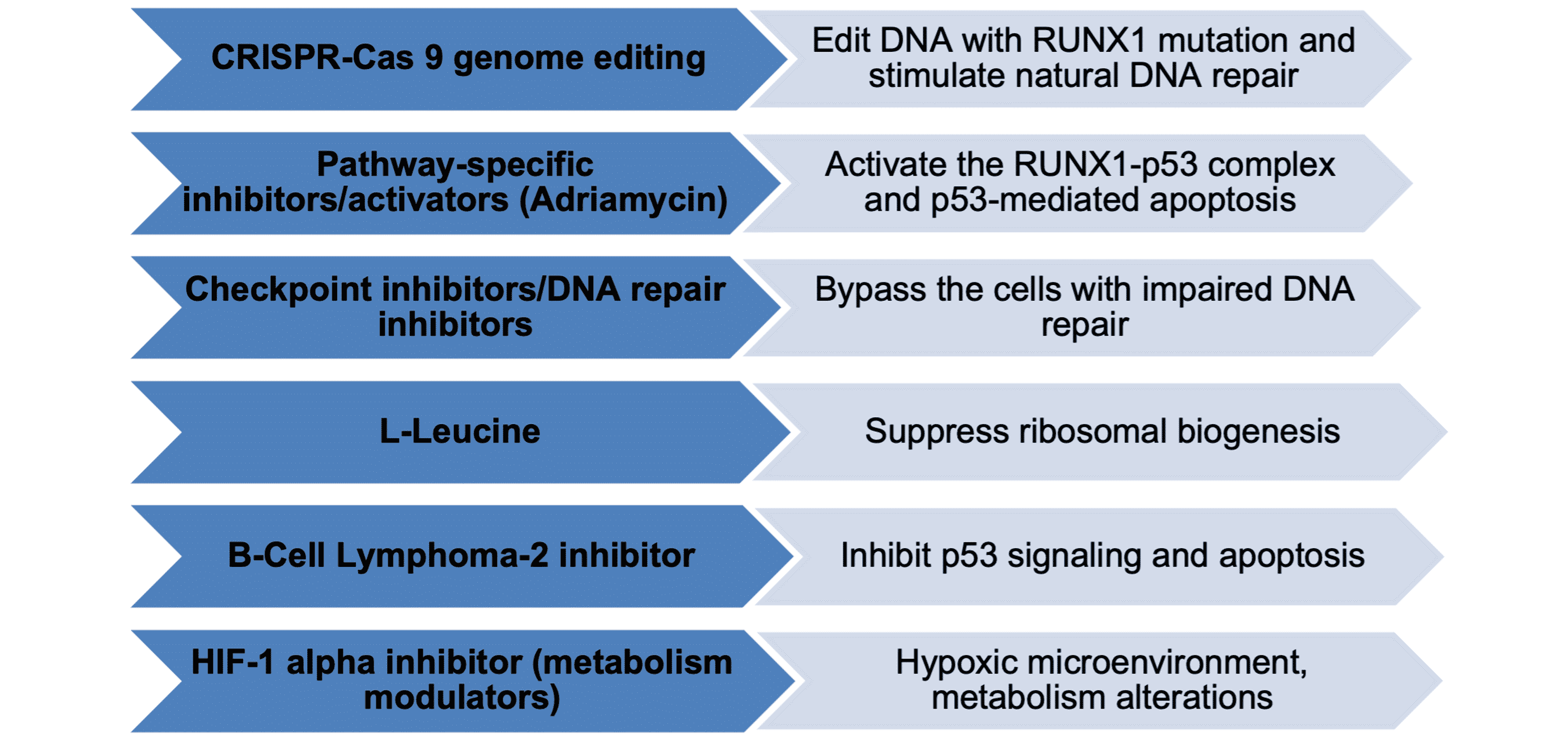 Cureus A Systematic Review Of The Role Of Runt Related Transcription