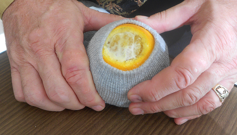 Cureus Vaginal Examination Simulation Using Citrus Fruit to Simulate