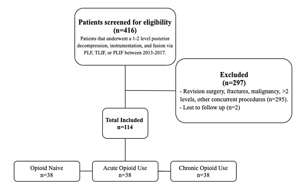 Effect Of Preoperative Opiate Use On Outcomes After Posterior Lumbar