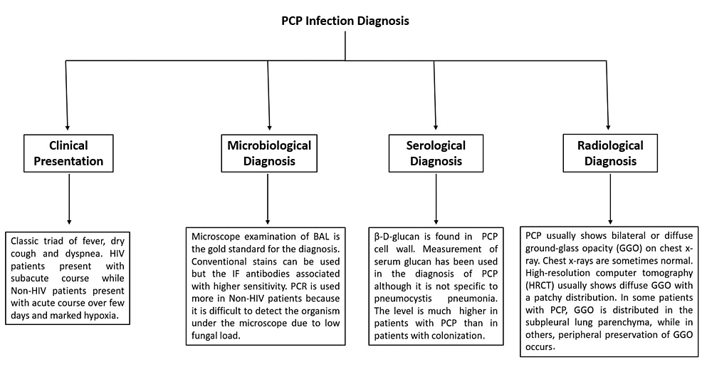 Exploring The Differences In Pneumocystis Pneumonia Infection Between