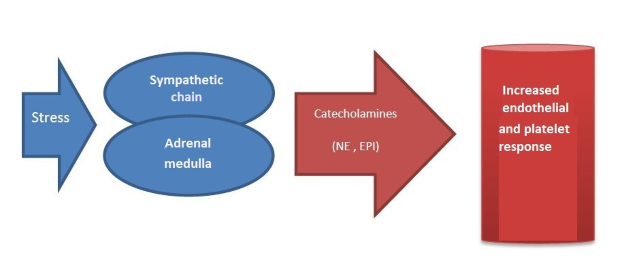 the article relied on sympathetic-adrenal-medullary (sam) axis