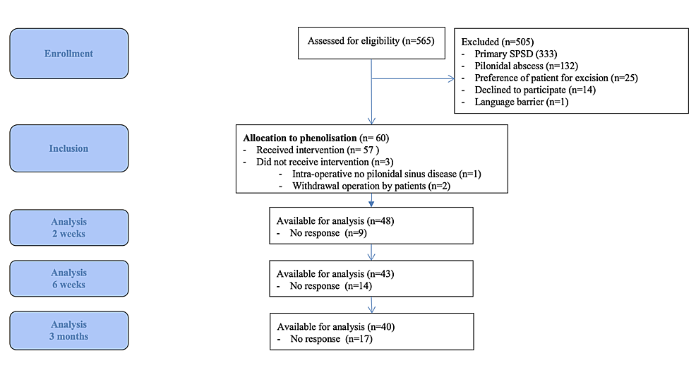 Updates on the Management of Pilonidal Disease - Advances in Pediatrics