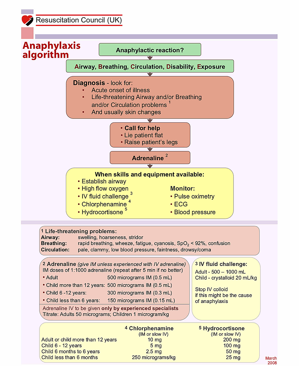 The-Resuscitation-Council-(UK)-algorithm-for-managing-anaphylaxis.-Weighting-for-the-marking-scheme-was-based-upon-the-order-in-which-interventions-are-prioritised-in-this-algorithm.