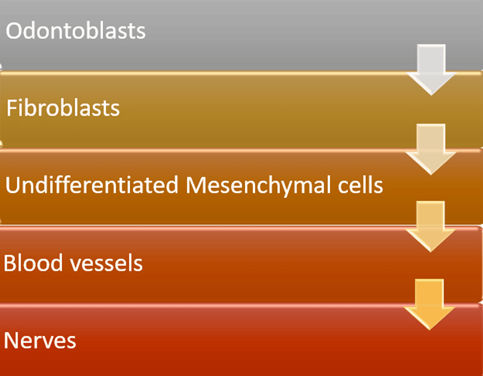 Chitosan: A Versatile Biomaterial Revolutionizing Endodontic