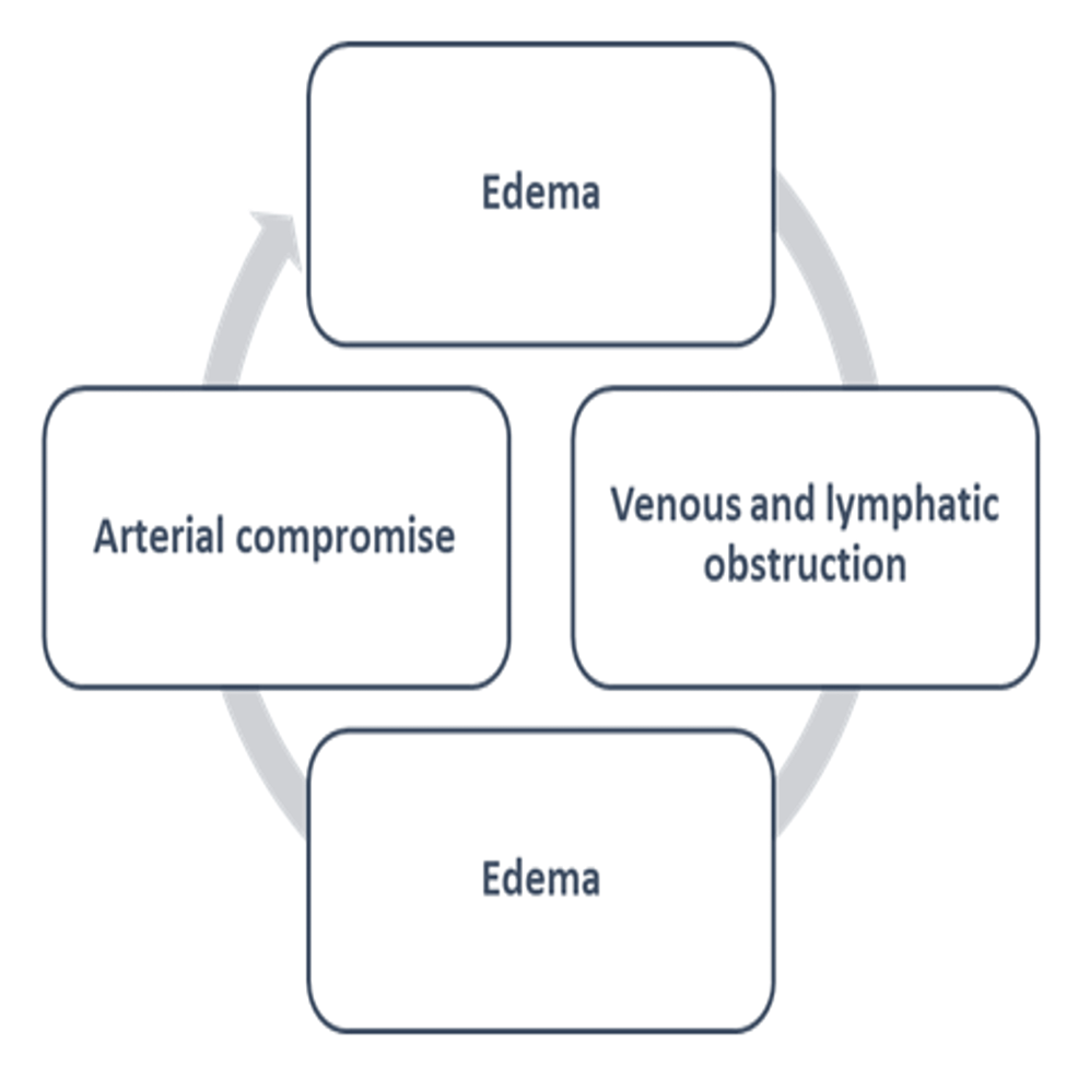 HairThread Tourniquet Syndrome A Comprehensive Review Cureus