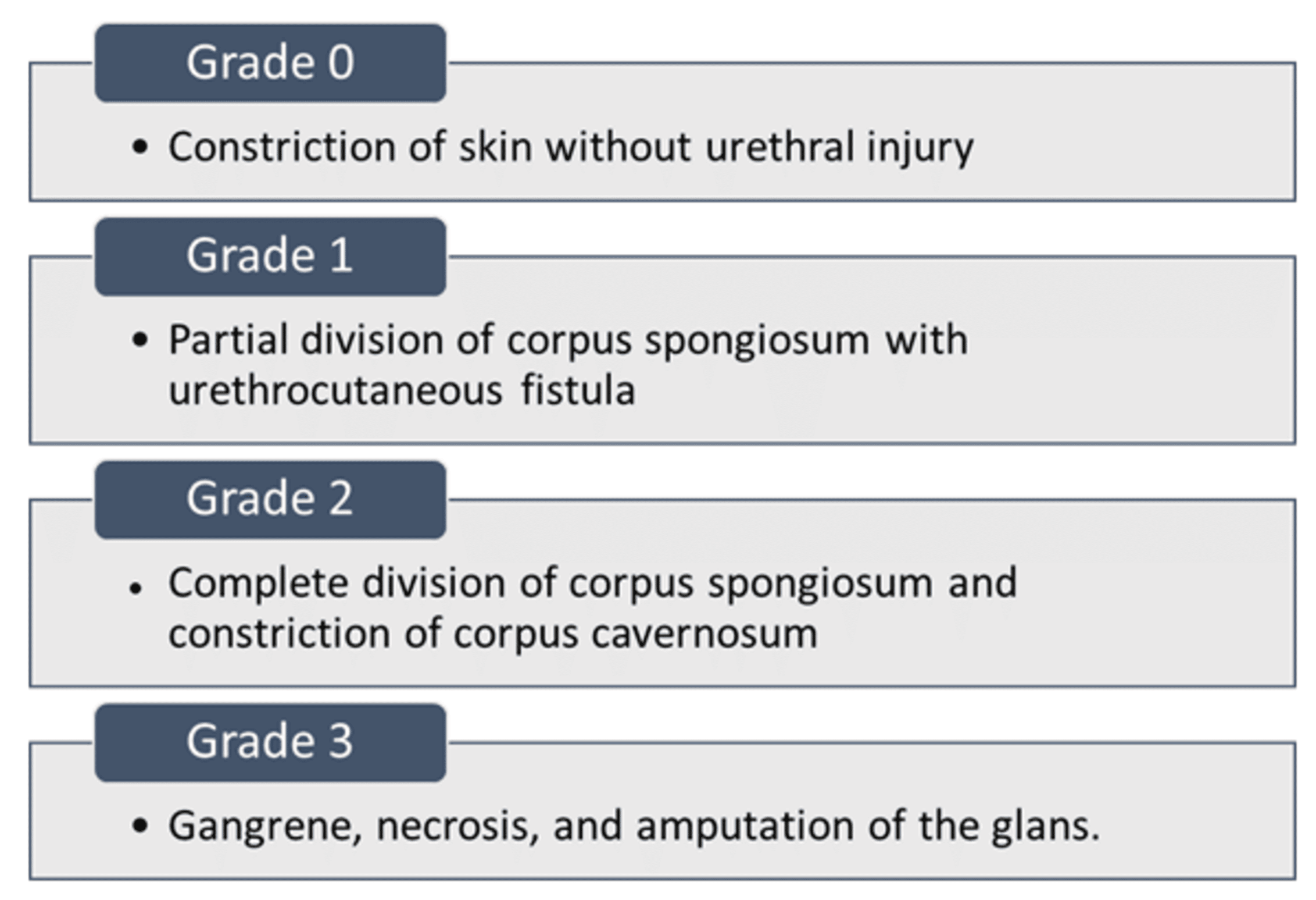 HairThread Tourniquet Syndrome A Comprehensive Review Cureus