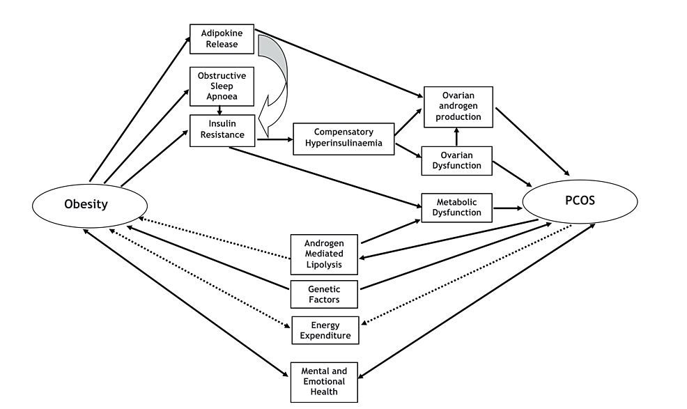 do doctors prescribe glp 1 GLP-1 Medications for Weight Loss
