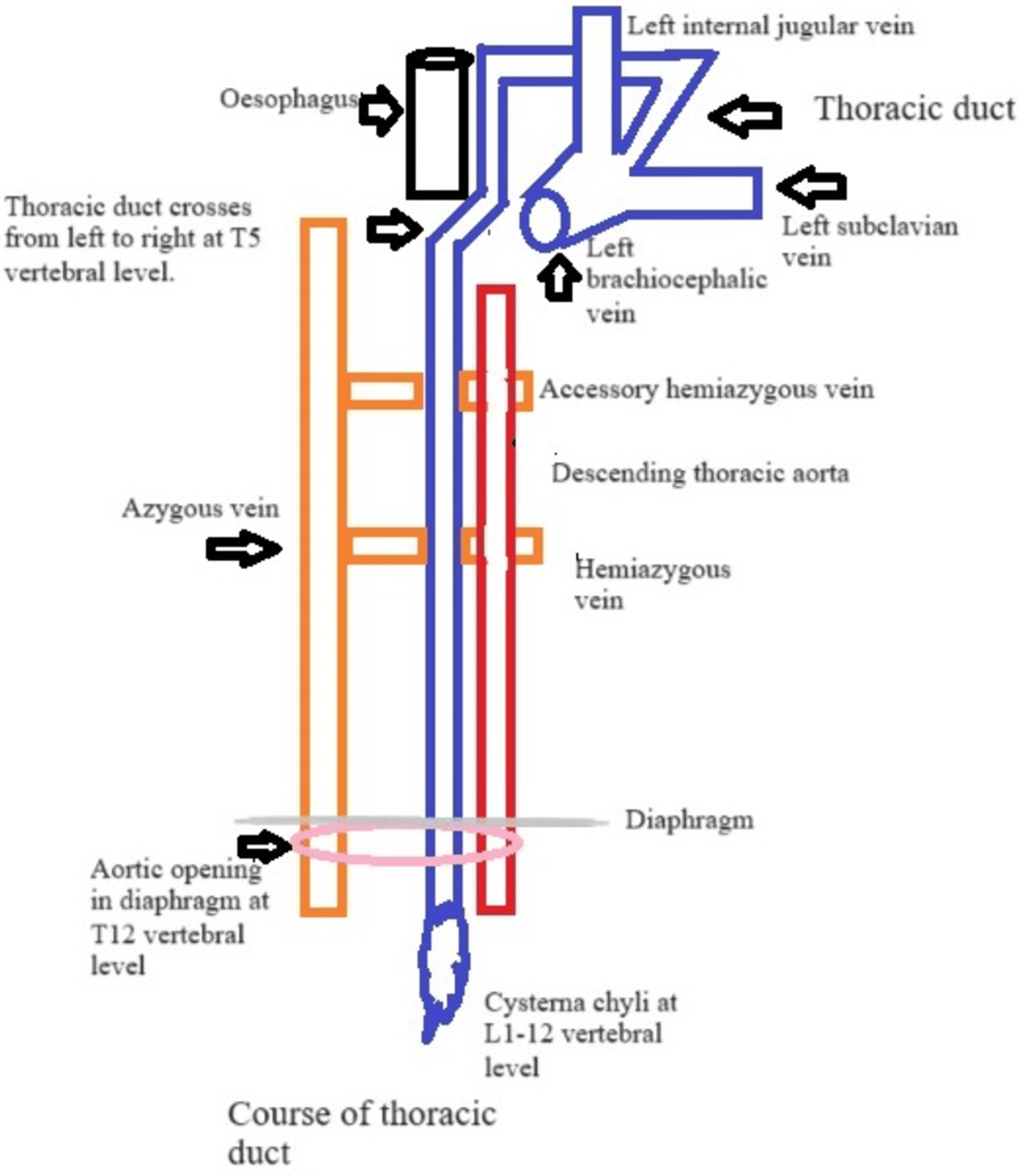 Breckie Hill: Navigating The Aftermath Of A Leak - suga3o5