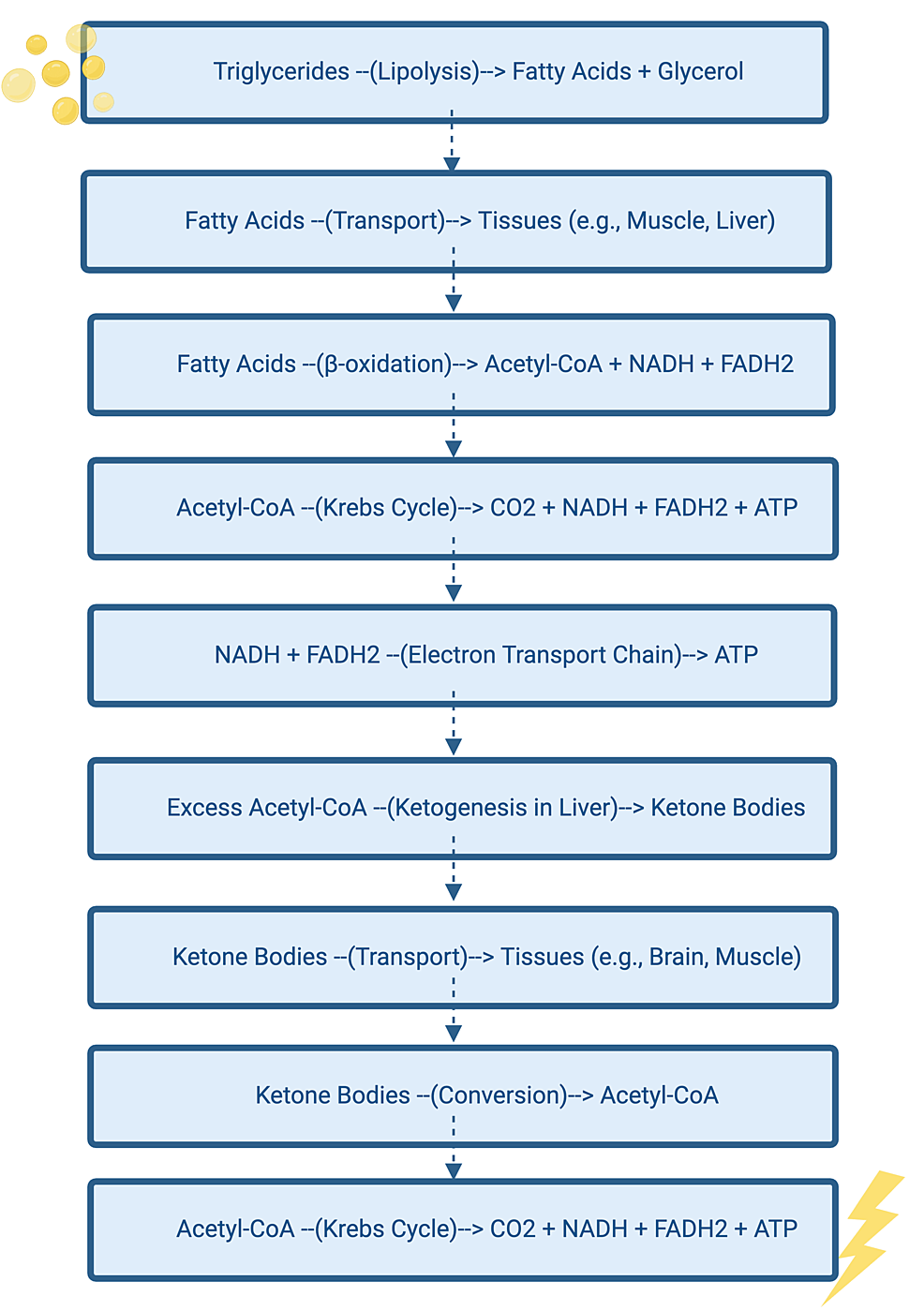 l carnitine seizures reddit American Epilepsy Society Clinical Practice Guideline: Infantile Epilepsy Ketogenic diet therapy for the