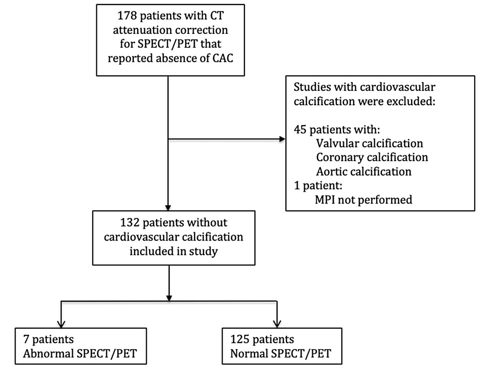 Refining Cardiovascular Calcification in the Appraisal of