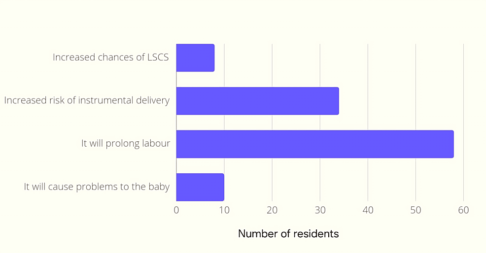 Bar-graph-depicting-the-concerns-of-using-labor-analgesia