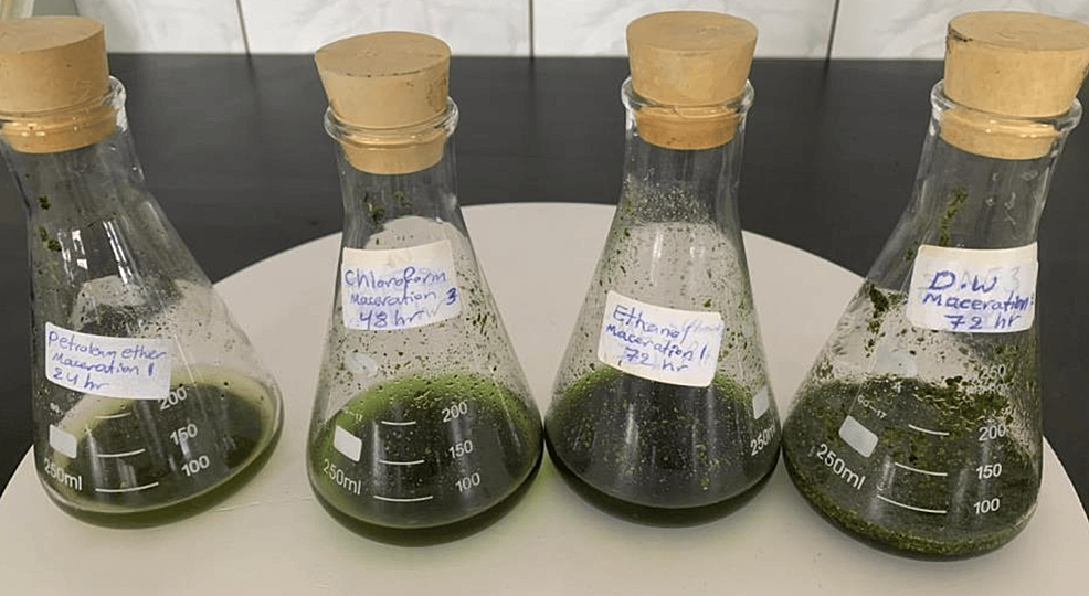 Optimization of Extraction Conditions of Bioactive Compounds From 
