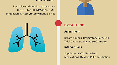 Cureus | Kids Really Are Just Small Adults: Utilizing the Pediatric ...