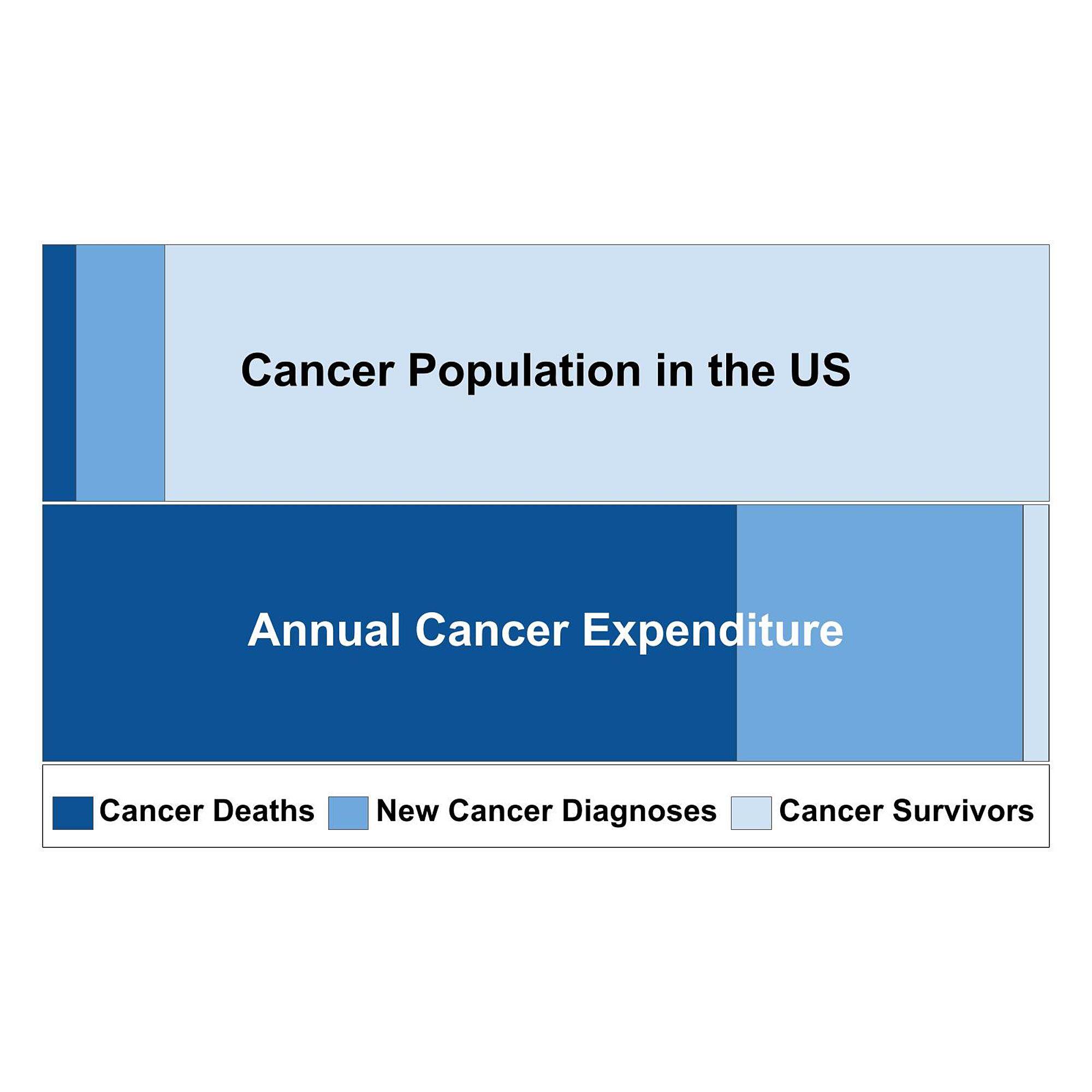 Cureus | Defining Health Across The Cancer Continuum