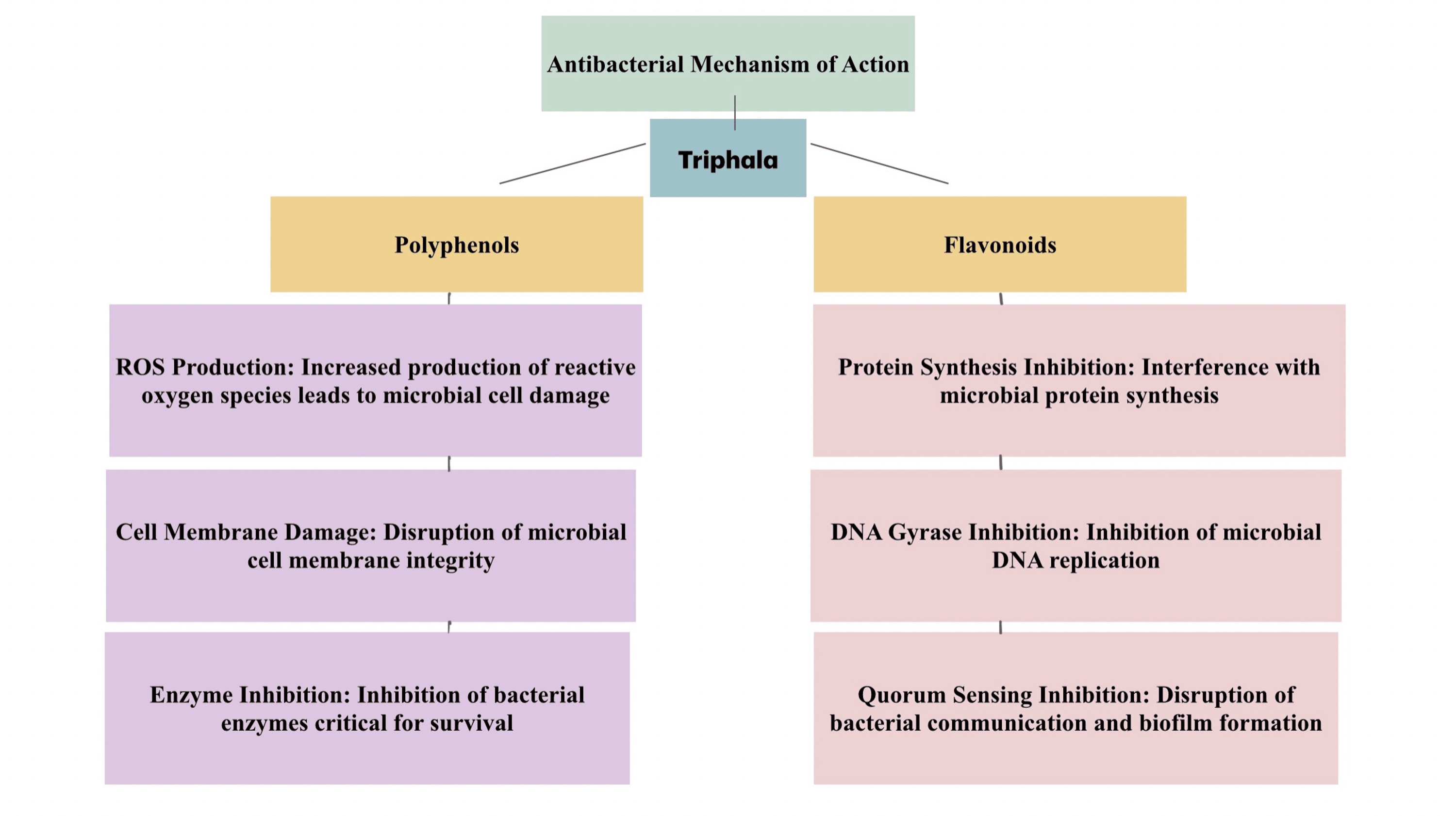 A Novel Gum Paint Formulation Derived From Licorice and Triphala
