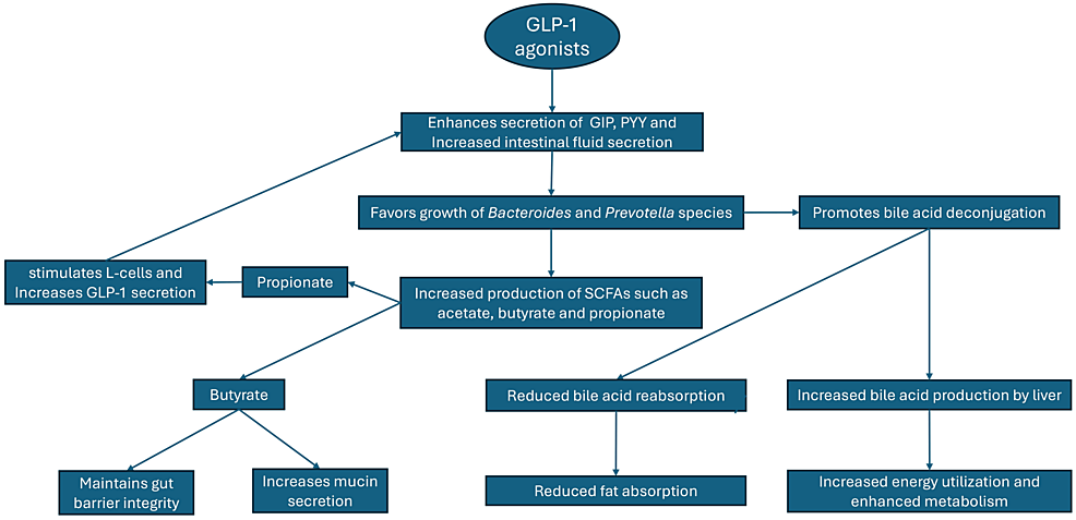 hers glp 1 pill Not all “GLP-1 pills” are the same., After the FDA restricted compounded  semaglutide products, Hims & Hers withdrew its compounded GLP-1 pill just  days after launch., So what’s the difference between