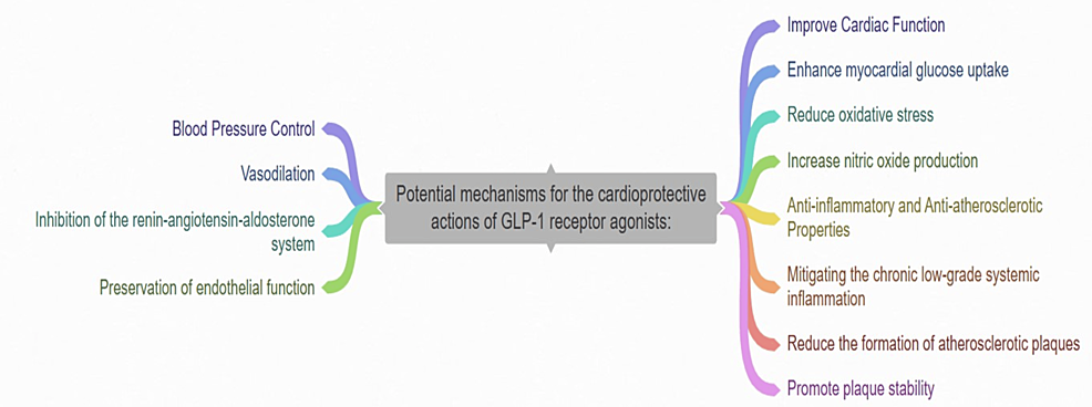 mechanism of glp 1 receptor agonist Glucagon-like peptide 1 receptor agonists: cardiovascular benefits and  mechanisms of action