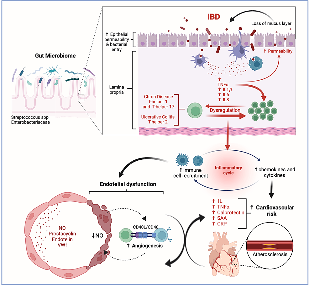 l carnitine anxiety reddit Recent Advances in Nanotechnology-Based Drug Delivery Systems for the  Diagnosis and Treatment of Reproductive Disorders