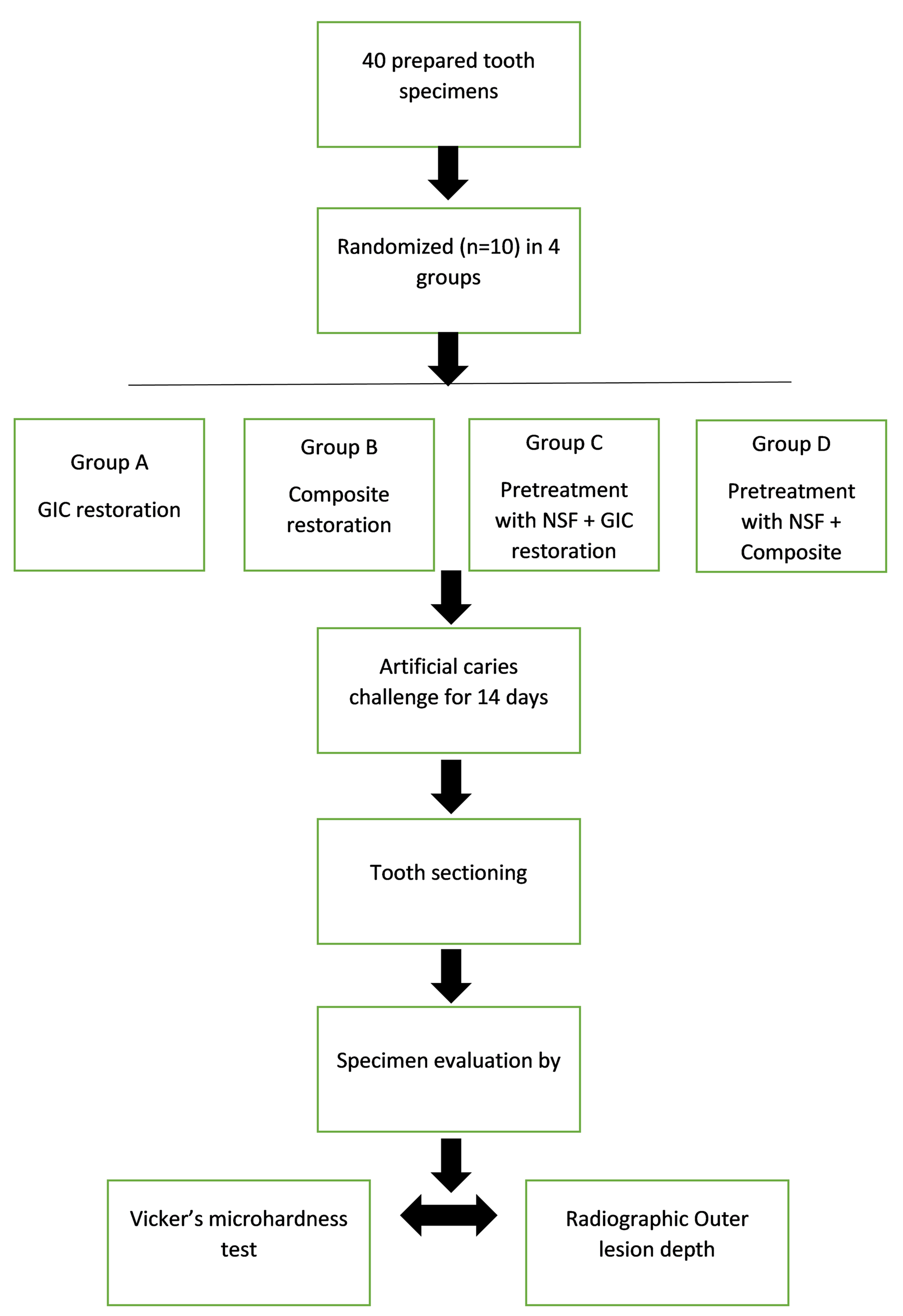 Cureus An In Vitro Comparative Evaluation Of Pre Treatment With Nano Silver Fluoride On Inhibiting Secondary Caries At Tooth Restoration Interface