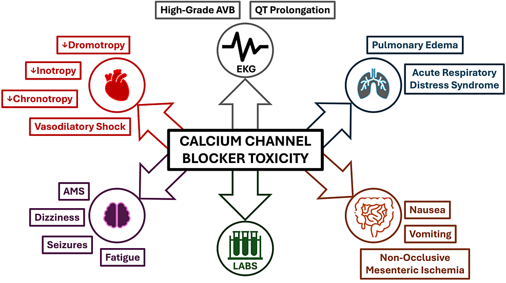 Clinical-and-metabolic-effects-of-calcium-channel-blocker-toxicity