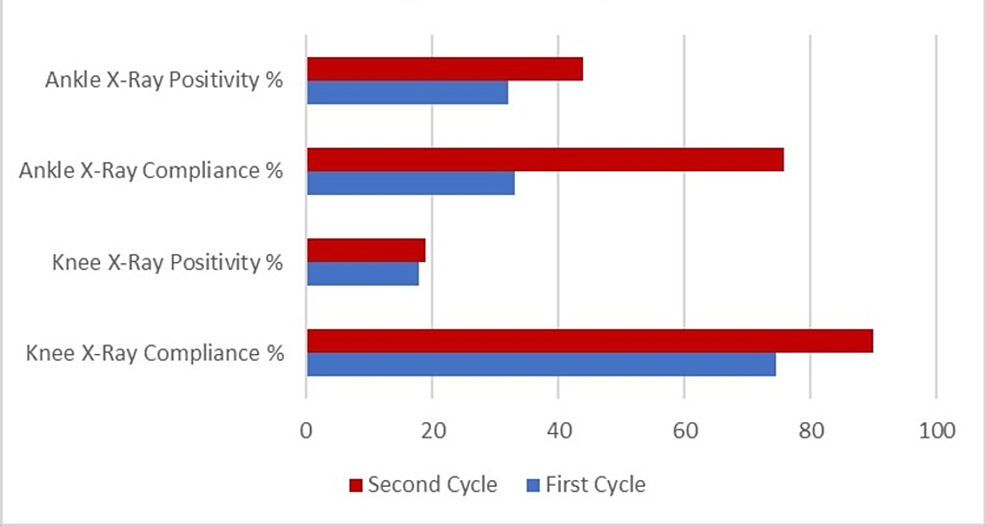 Evaluating Compliance With the Ottawa Rules A Retrospective Clinical Audit at a District
