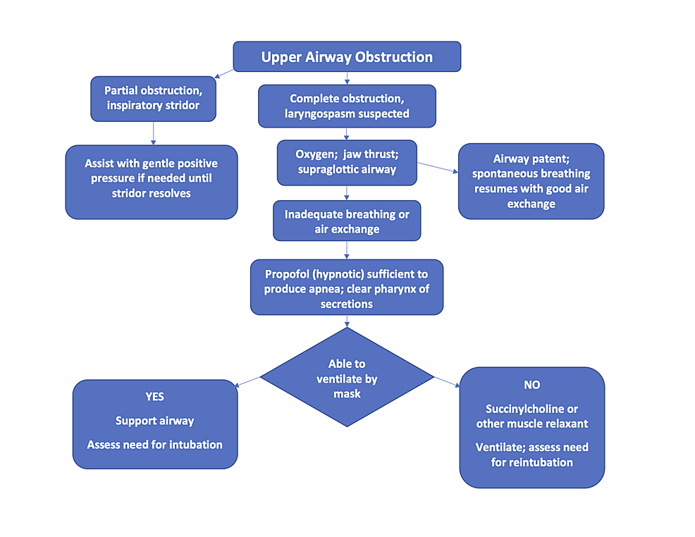 Clinical-management-of-upper-airway-obstruction