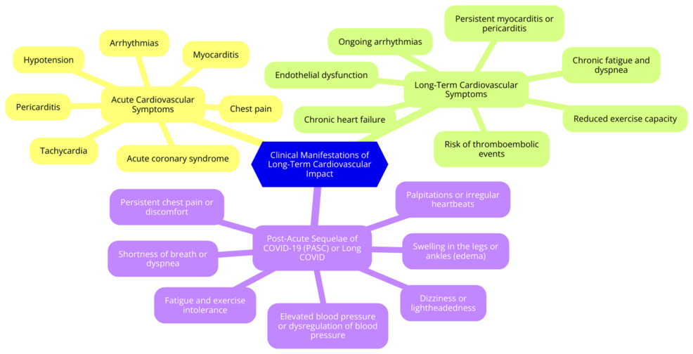 Clinical-manifestations-of-long-term-cardiovascular-impact Clinical-manifestations-of-long-term-cardiovascular-impact