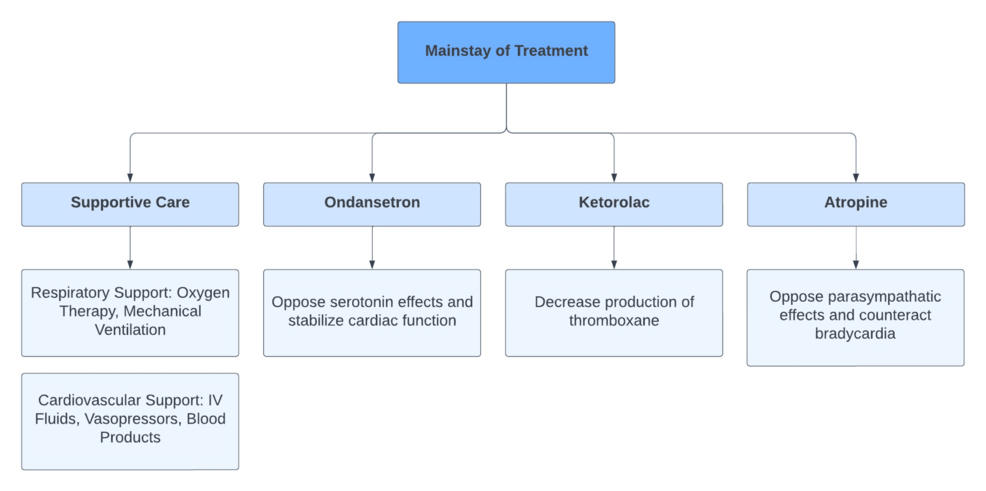 Mainstay-of-amniotic-fluid-embolism-(AFE)-treatment