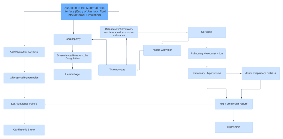 Underlying-pathophysiology-of-amniotic-fluid-embolism-(AFE)