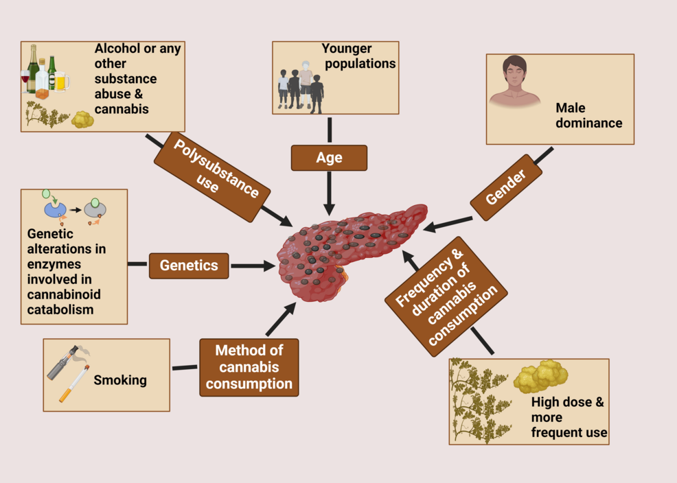 The Underrecognized Role of Cannabis in the Etiology of Acute Pancreatitis  | Cureus