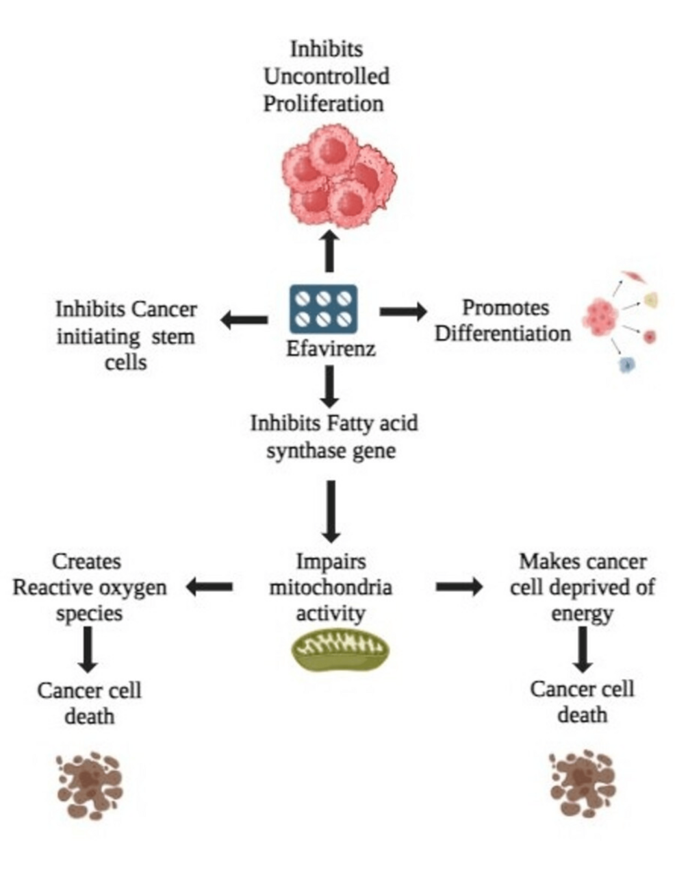 taking glutathione while on arvs Efavirenz: New Hope in Cancer Therapy