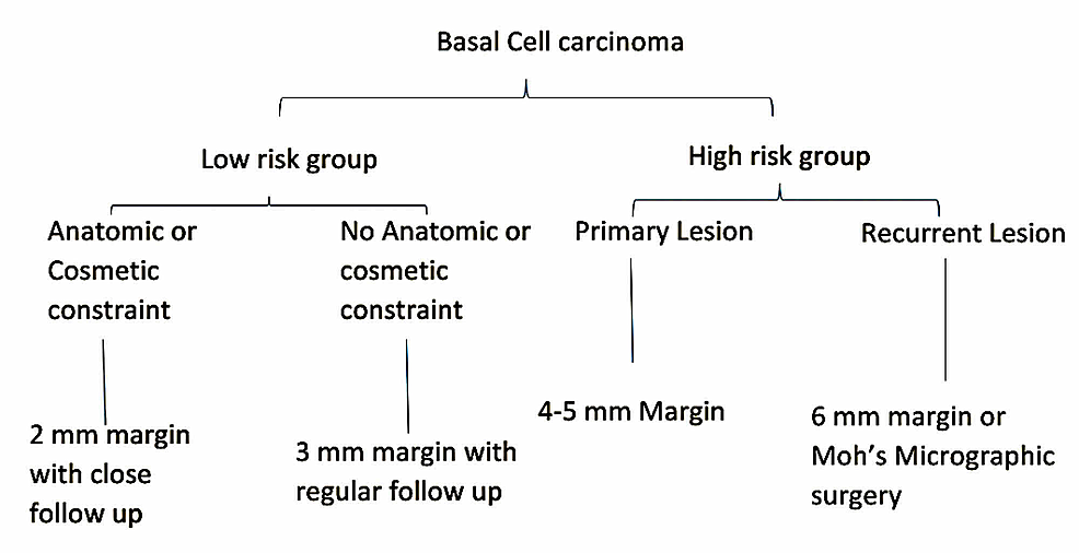 Cureus Surgical Margin of Excision in Basal Cell Carcinoma A