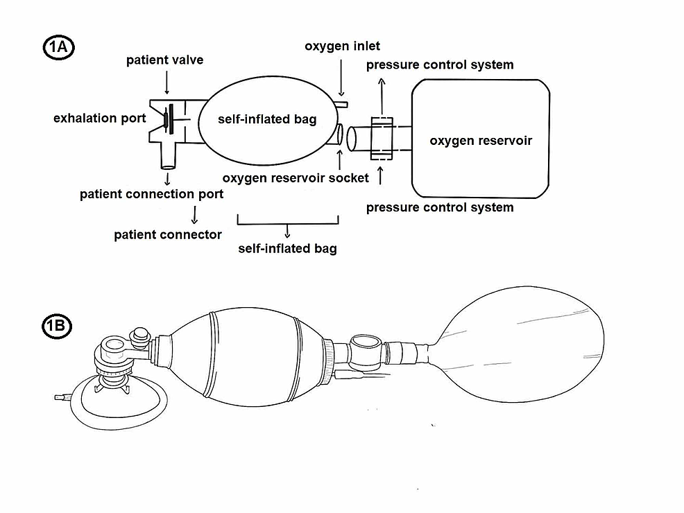 AMBU bag and its accessories source  Download Scientific Diagram