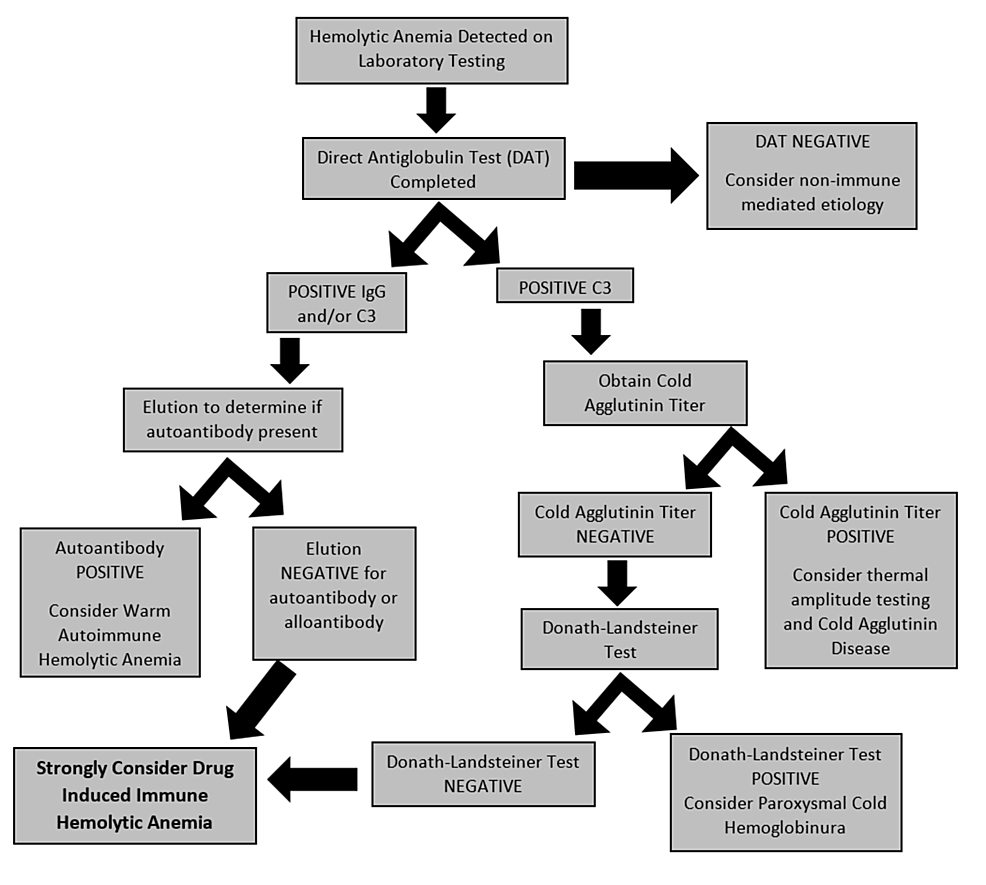 cureus-drug-induced-immune-hemolytic-anemia-due-to-amoxicillin