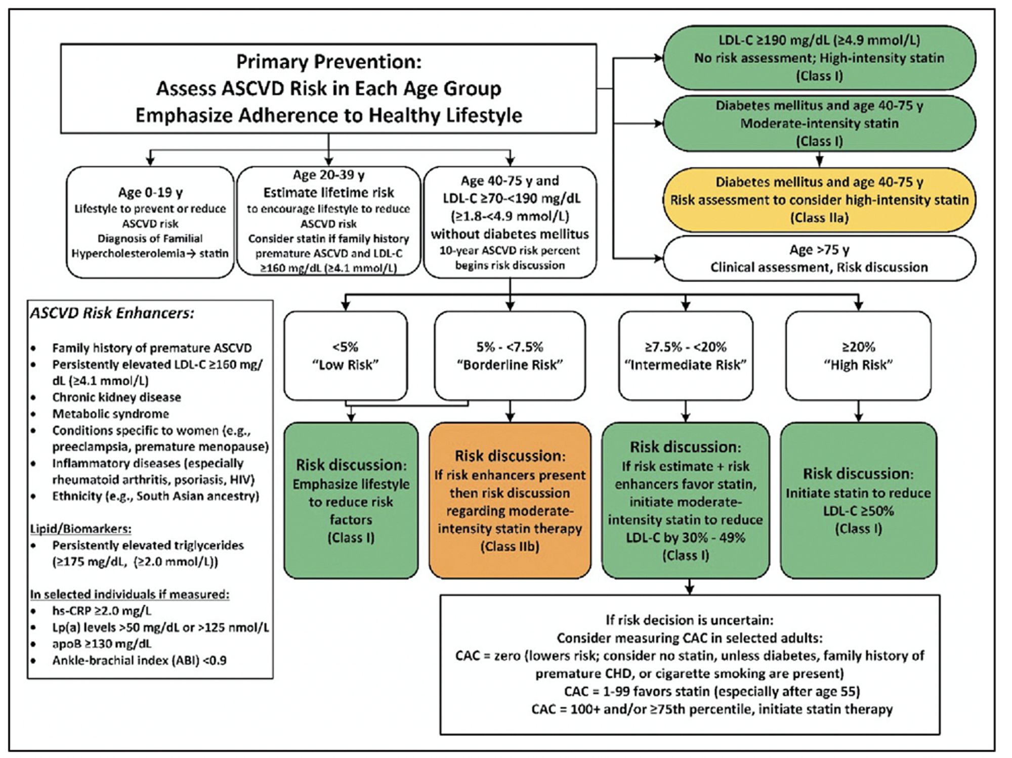 Cureus | The Future of Concurrent Automated Coronary Artery Calcium