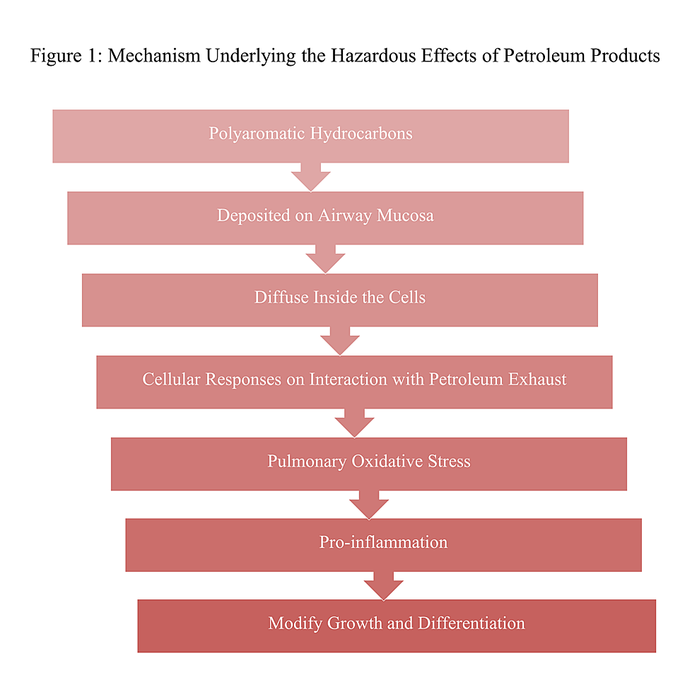 Mechanism-underlying-the-hazardous-effects-of-petroleum-products