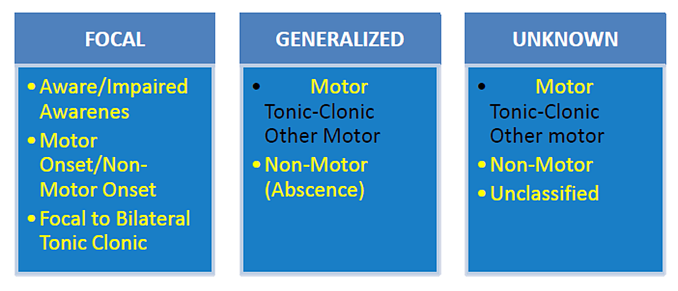 seizure types