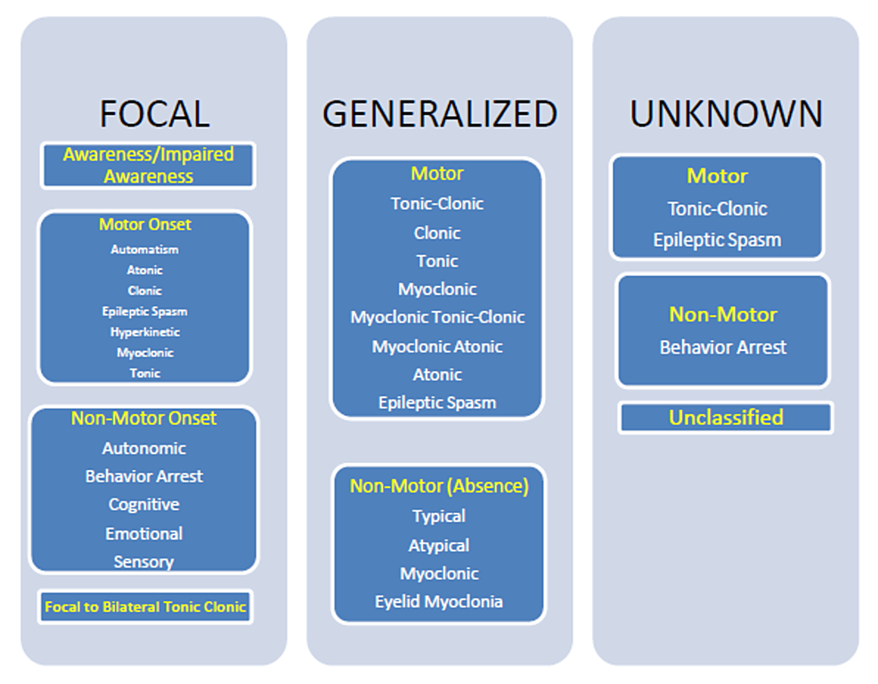 Seizure Classification Chart   Article River C1290620b8a411eab422e1ef3c39c091 Webp.net Resizeimage 