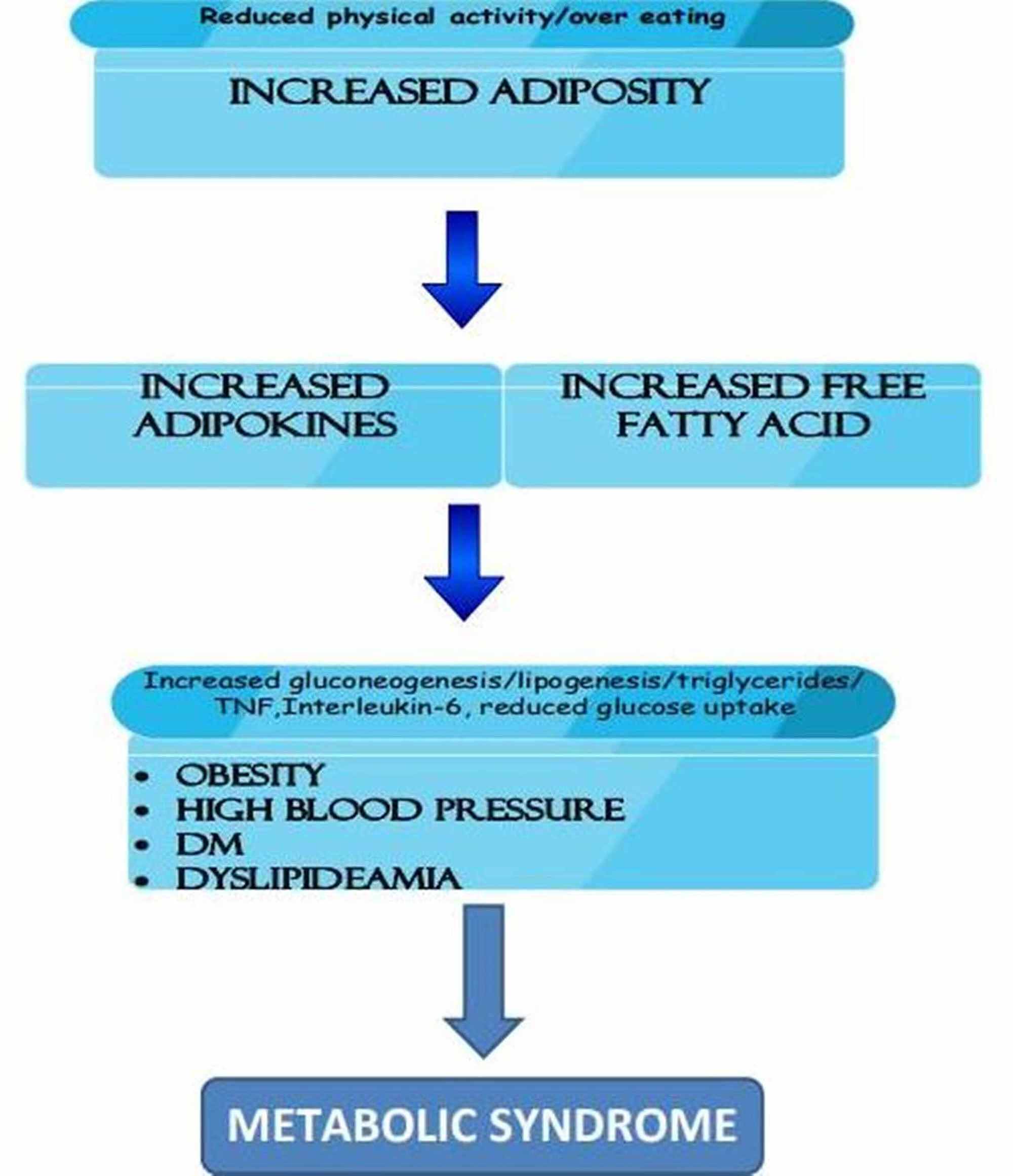 Cureus An Overview Of The Pathophysiology Of Metabolic Changes And Their Sequence Of Occurrence In Obese Diabetic Females A Narrative Review