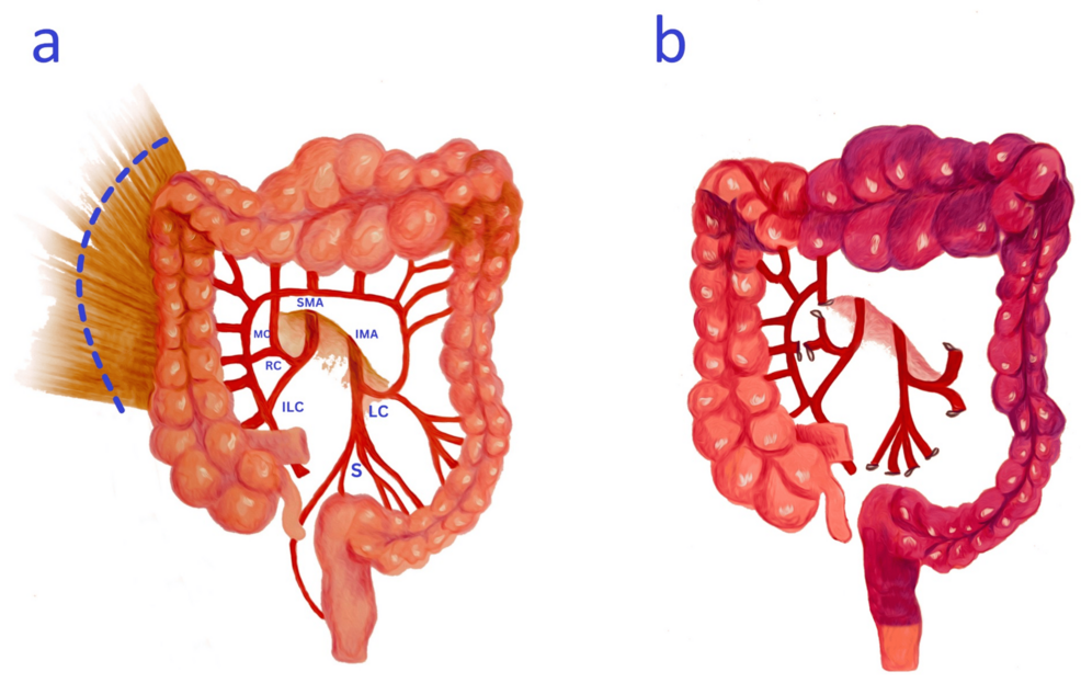 Porno videolarda yosh yolgiz onalar