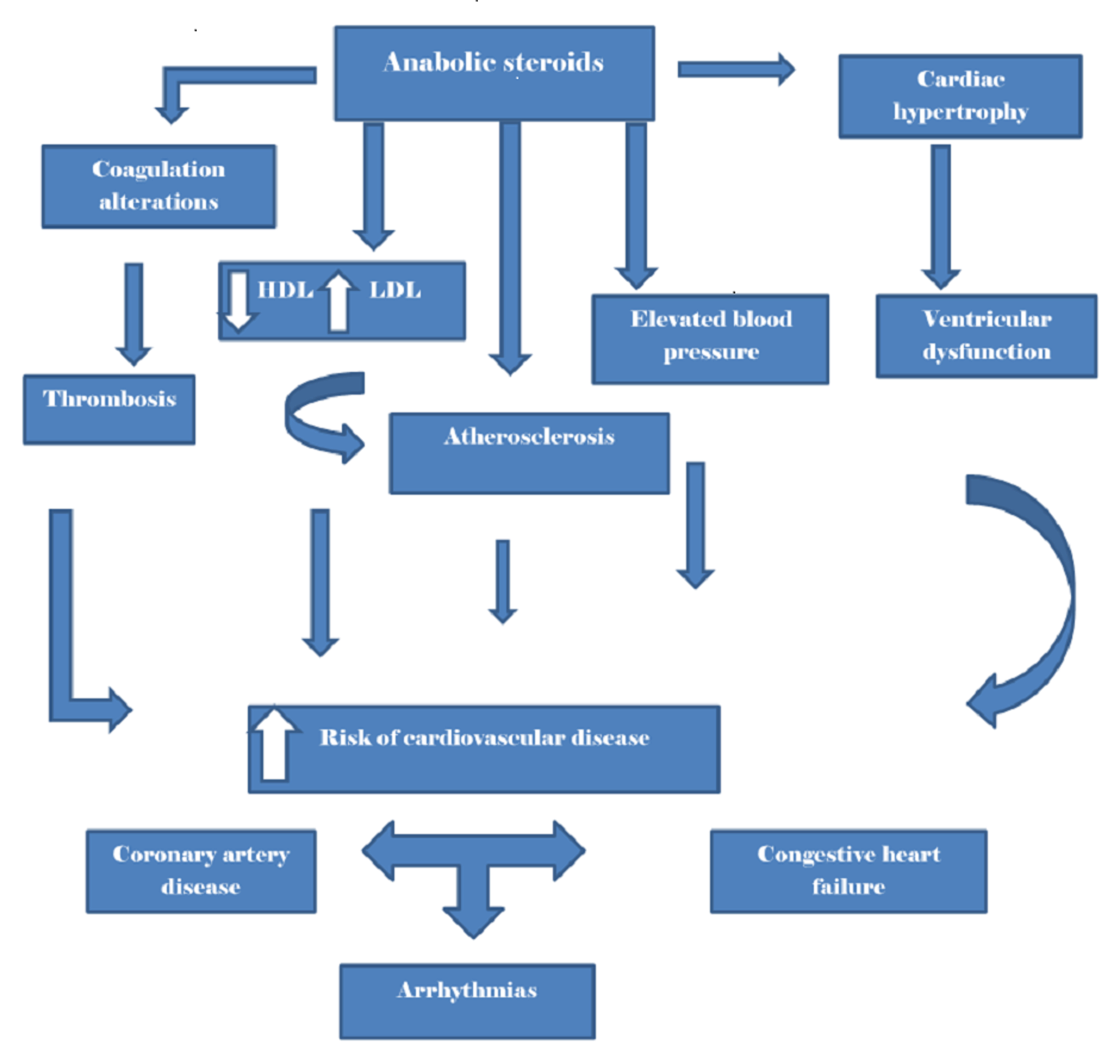 Introducing The Simple Way To how do steroids work