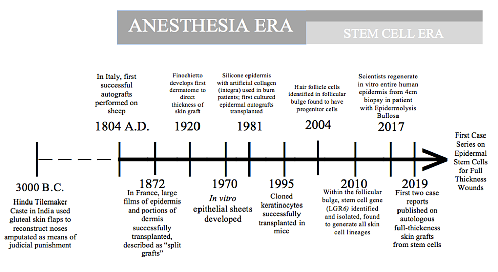 Cureus Successful FullThickness Skin Regeneration Using Epidermal