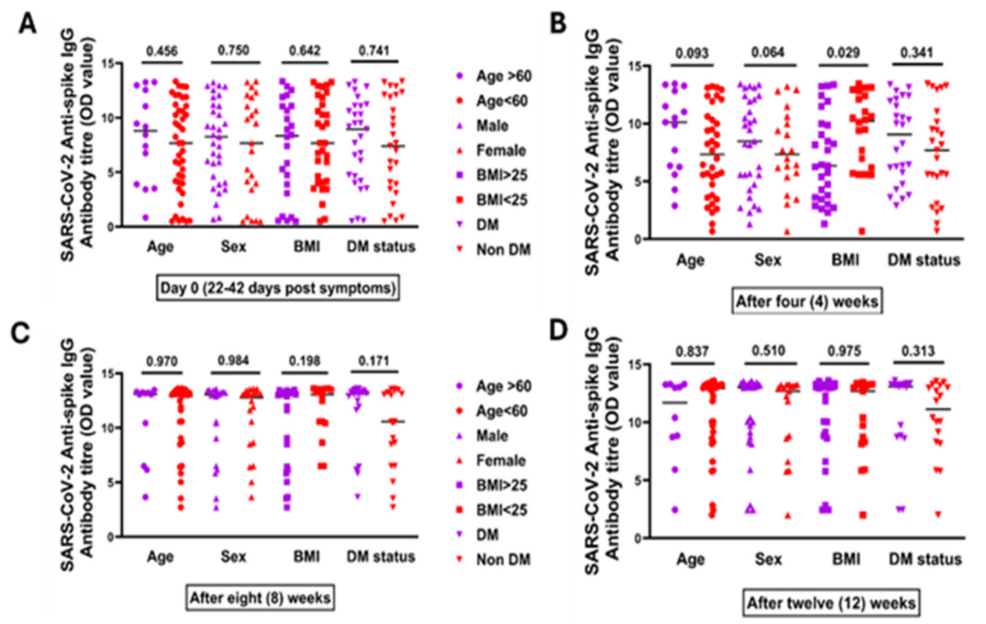 Antispike-IgG-antibody-titer-among-recovered-COVID-19-patients-according-to-age,-sex,-BMI,-and-DM-status-at-different-time-points.-(A)-Day-0-(which-is-22-42-days-after-first-COVID-19-symptoms),-which-showed-the-median-antispike-IgG-antibody-titer,-in-terms-of-age-(≥60-vs.-<60-years),-BMI-(≥25-vs.-<25-kg/m2),-sex-(male-vs.-female),-and-diabetes-status-(DM-vs.-non-DM).-(B)-After-four-weeks,-which-showed-median-antispike-IgG-antibody-titer-in-terms-of-age,-BMI,-sex,-and-diabetes-status.-(C)-After-eight-weeks,-which-showed-median-antispike-IgG-antibody-titer-in-terms-of-age,-BMI,-sex,-and-diabetes-status.-(D)-After-12-weeks,-which-showed-median-antispike-IgG-antibody-titer-in-terms-of-age,-BMI,-sex,-and-diabetes-status