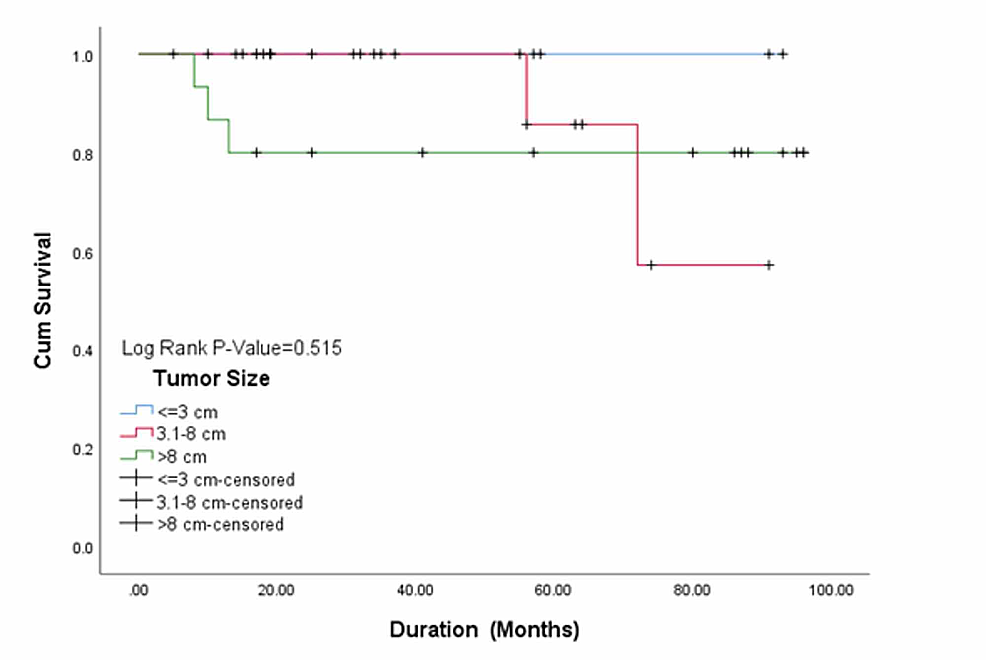 Cureus Frequency of Translocation t(11;22)(q24;q12) Using Fluorescence In Situ Hybridization